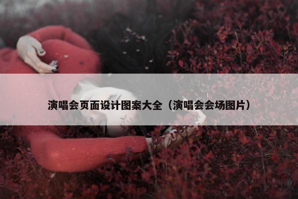 演唱会页面设计图案大全（演唱会会场图片）