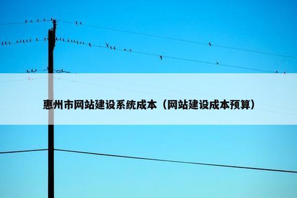 惠州市网站建设系统成本（网站建设成本预算）