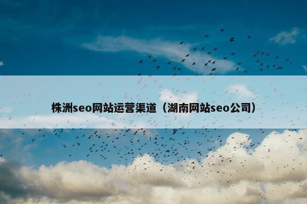 株洲seo网站运营渠道（湖南网站seo公司）