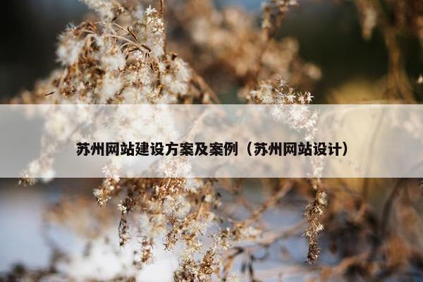苏州网站建设方案及案例（苏州网站设计）