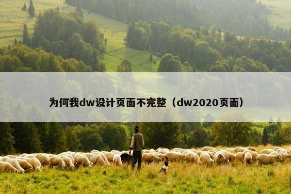 为何我dw设计页面不完整（dw2020页面）