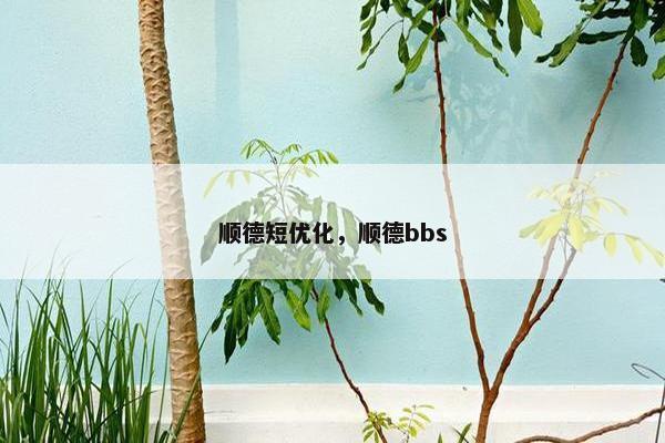 顺德短优化，顺德bbs