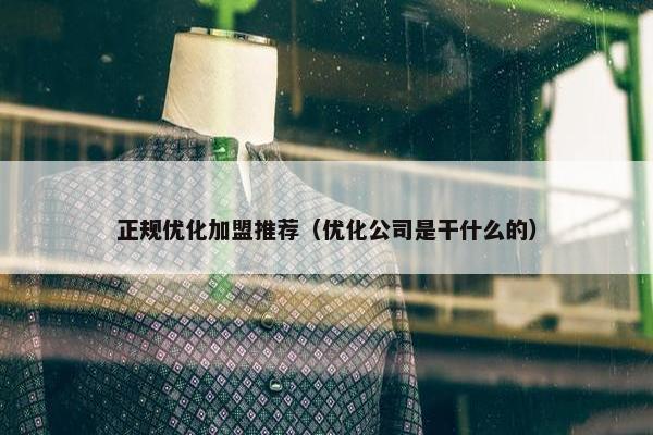 正规优化加盟推荐（优化公司是干什么的）
