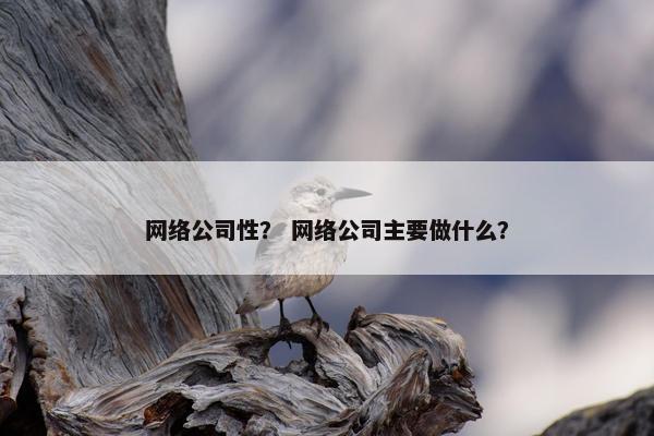 网络公司性？ 网络公司主要做什么？