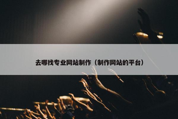 去哪找专业网站制作（制作网站的平台）