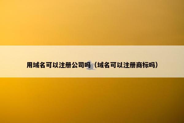 用域名可以注册公司吗（域名可以注册商标吗）