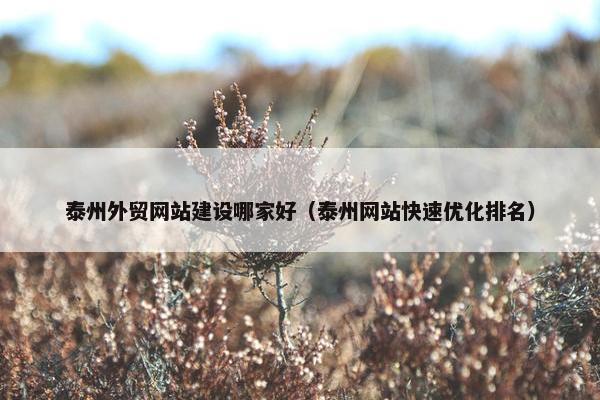 泰州外贸网站建设哪家好（泰州网站快速优化排名）
