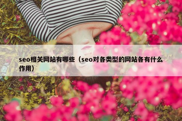 seo相关网站有哪些（seo对各类型的网站各有什么作用）