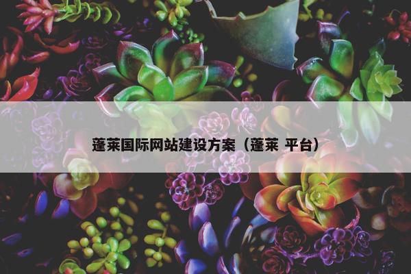 蓬莱国际网站建设方案（蓬莱 平台）