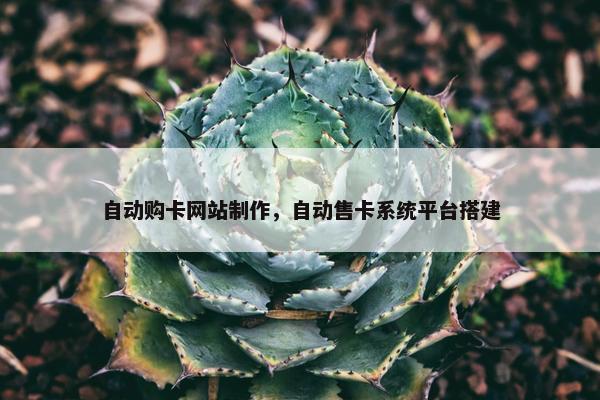 自动购卡网站制作，自动售卡系统平台搭建