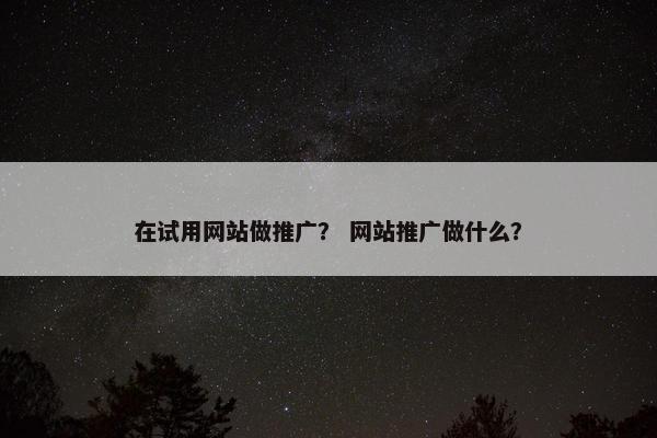 在试用网站做推广？ 网站推广做什么？