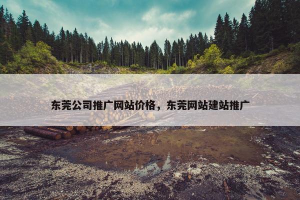 东莞公司推广网站价格，东莞网站建站推广
