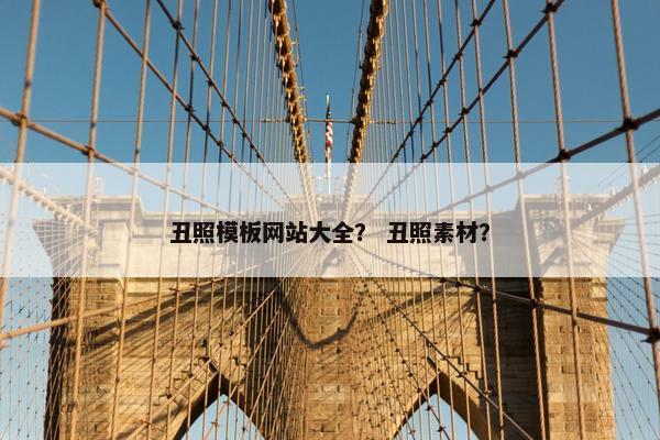 丑照模板网站大全？ 丑照素材？