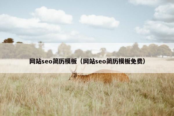 网站seo简历模板（网站seo简历模板免费）