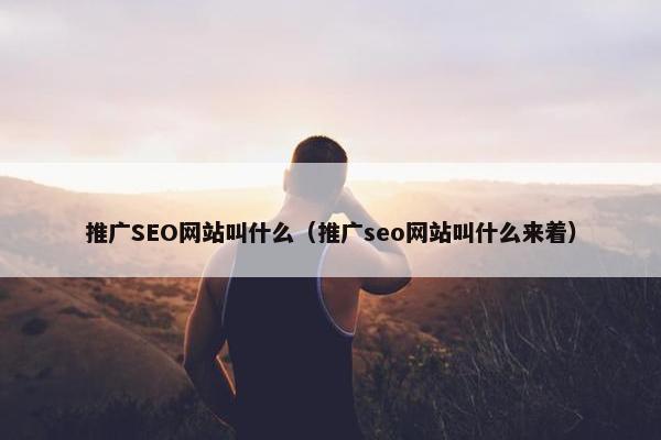 推广SEO网站叫什么（推广seo网站叫什么来着）