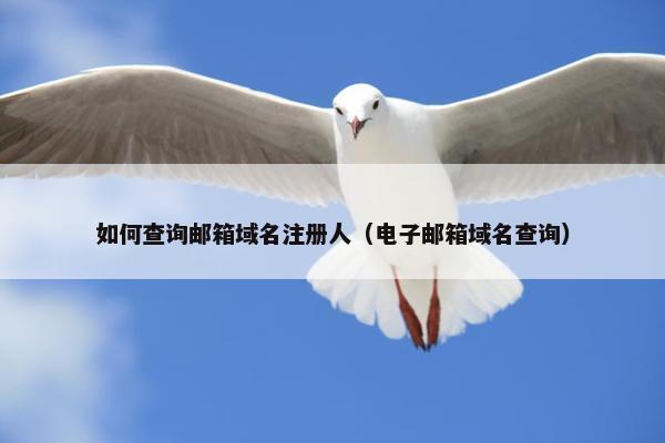 如何查询邮箱域名注册人（电子邮箱域名查询）