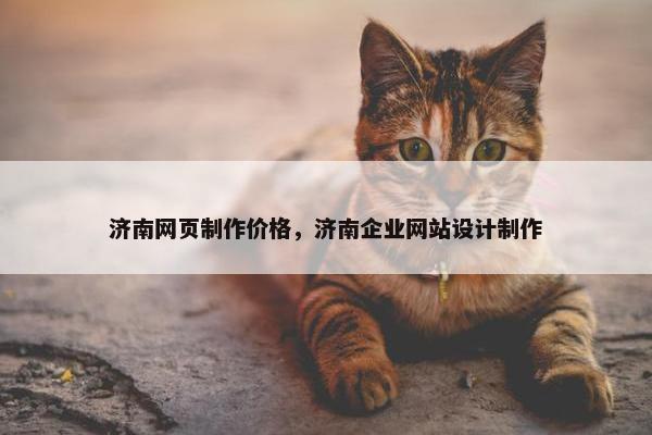 济南网页制作价格，济南企业网站设计制作