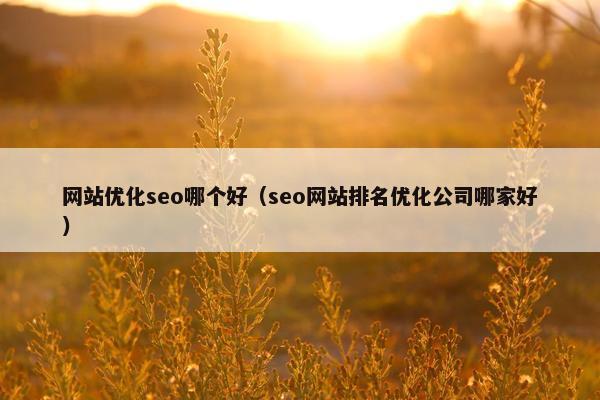 网站优化seo哪个好（seo网站排名优化公司哪家好）