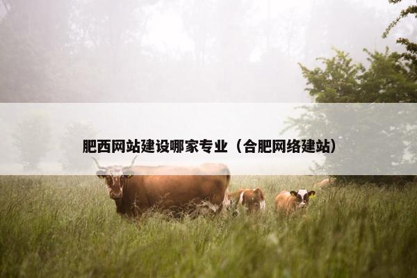 肥西网站建设哪家专业（合肥网络建站）