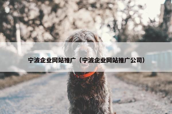 宁波企业网站推广（宁波企业网站推广公司）