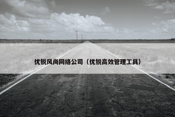 优锐风尚网络公司（优锐高效管理工具）