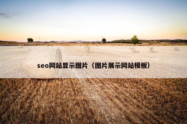 seo网站显示图片（图片展示网站模板）
