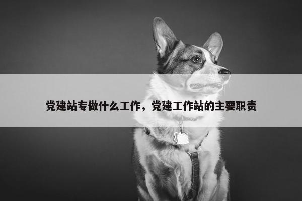 党建站专做什么工作，党建工作站的主要职责