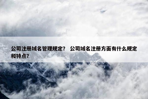 公司注册域名管理规定？ 公司域名注册方面有什么规定和特点？