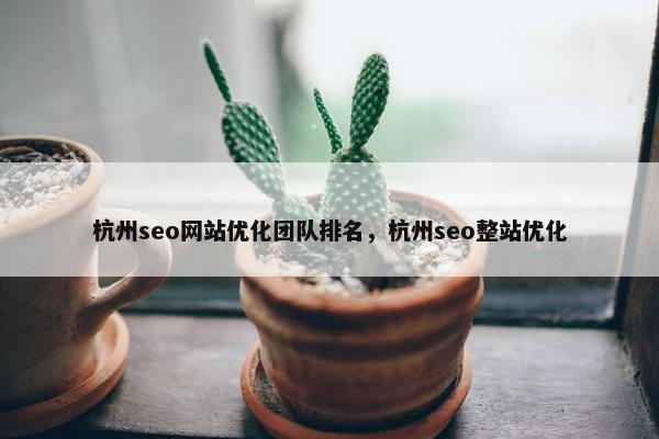 杭州seo网站优化团队排名，杭州seo整站优化