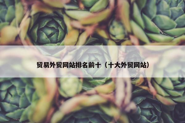贸易外贸网站排名前十（十大外贸网站）