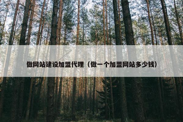 做网站建设加盟代理（做一个加盟网站多少钱）