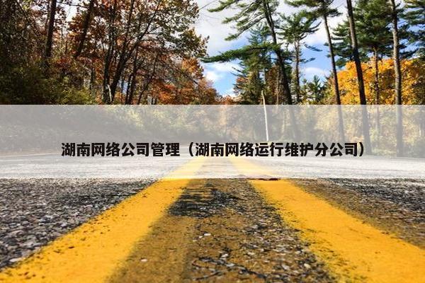 湖南网络公司管理（湖南网络运行维护分公司）