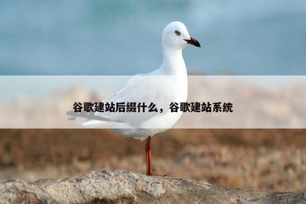 谷歌建站后缀什么，谷歌建站系统