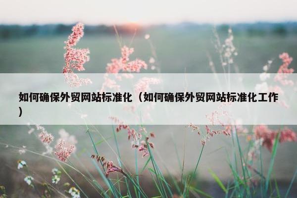 如何确保外贸网站标准化（如何确保外贸网站标准化工作）