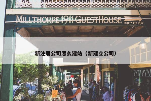 新注册公司怎么建站（新建立公司）