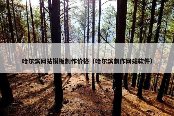 哈尔滨网站模板制作价格（哈尔滨制作网站软件）