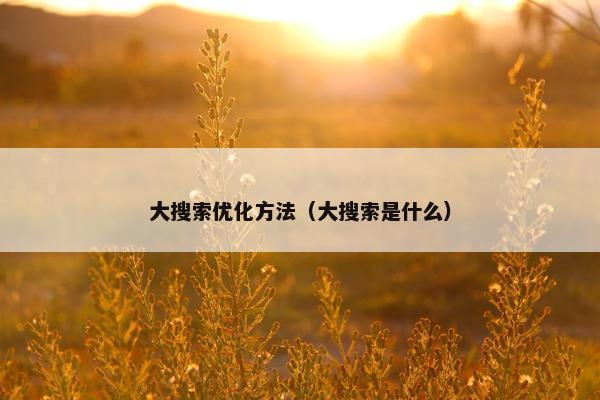 大搜索优化方法（大搜索是什么）