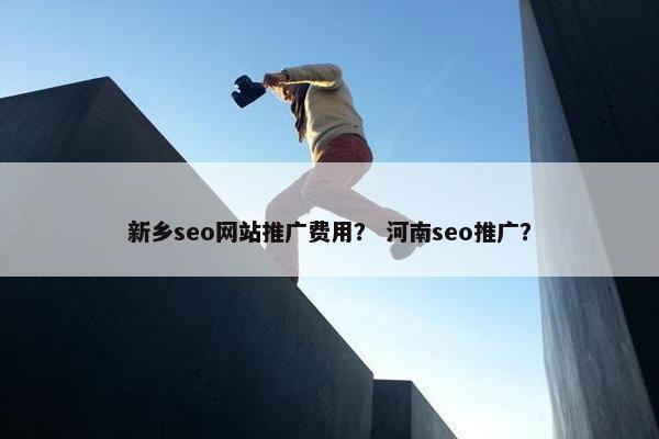 新乡seo网站推广费用？ 河南seo推广？