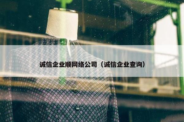 诚信企业顺网络公司（诚信企业查询）
