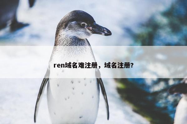 ren域名难注册，域名注册?