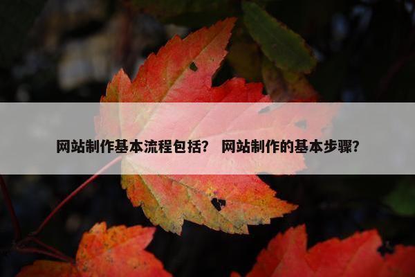 网站制作基本流程包括？ 网站制作的基本步骤？
