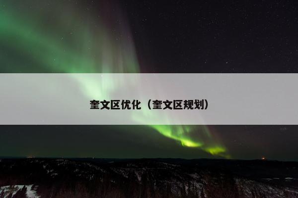 奎文区优化（奎文区规划）