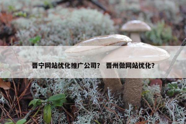 晋宁网站优化推广公司？ 晋州做网站优化？