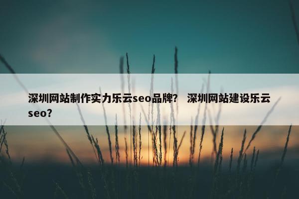 深圳网站制作实力乐云seo品牌？ 深圳网站建设乐云seo？