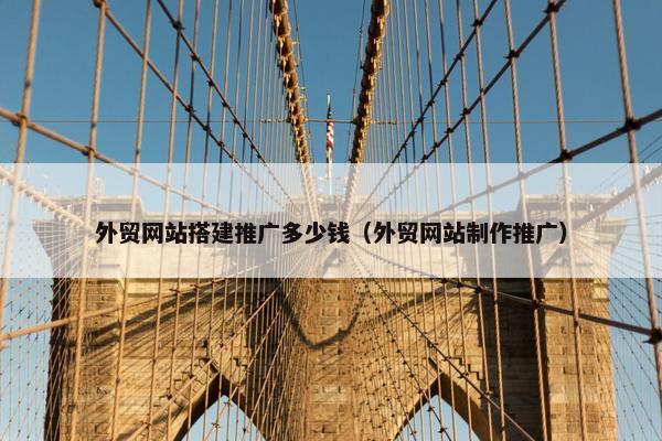 外贸网站搭建推广多少钱（外贸网站制作推广）