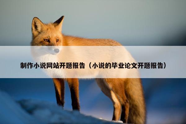 制作小说网站开题报告（小说的毕业论文开题报告）