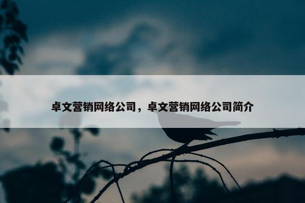 卓文营销网络公司，卓文营销网络公司简介