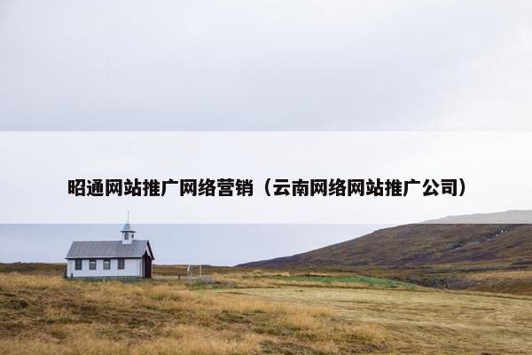 昭通网站推广网络营销（云南网络网站推广公司）