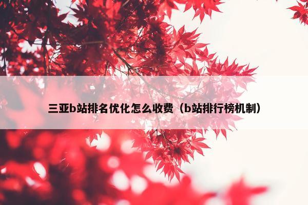三亚b站排名优化怎么收费（b站排行榜机制）