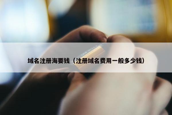 域名注册海要钱（注册域名费用一般多少钱）